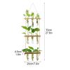 Pcscevcr Wall-Hanging Planter, 3 Tiers, Test Tube Propagation Station with Wood Stand, Glass Planter Vase for Home, Garden, and Decor (Brown) view 2