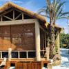 Natural Reed Blinds, Bamboo Shades, Cordless Retro Reed Curtains for Indoor and Outdoor Use, 76 x 153 cm (30 x 60 in) view 3
