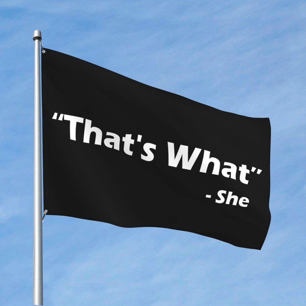 Funny Patio Decoration That's What She Said Flag, Cool Outdoor Pennant, 30 x 45 cm