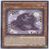 Purrelyly CYAC-EN018 Common 1st Edition view 1