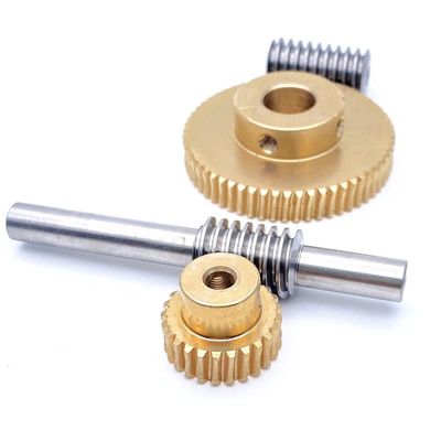 HOMEXO 304 Stainless Steel Worm Shaft 0.8 Module Copper Worm Gear, 20/25/30/35/40/50/60 Teeth, 1 pc (Color: B Worm-8 mm, Size: 60 Teeth-12 mm)