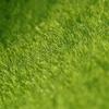 BANGHA Artificial Grass Turf, 3-Piece Outdoor Green Moss Decor, 15 x 15 view 3