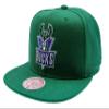 Mitchell & Ness NBA Conference Patch Snapback HWC - Milwaukee Bucks view 2