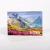 Sigel A6 Gift Voucher Cards, 12 Count, with Transparent Envelopes view 2
