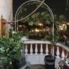 Sturdy Metal Garden Arch for Climbing Plants, Black, Multiple Sizes view 4