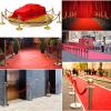 Velvet Crowd Control Rope with Metal Hooks for Stanchions view 3