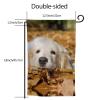 Lazy Dogs Printed Flag, 12.5 x 18 cm, Double-Sided, Seasonal Small Yard Flag view 4