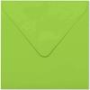 Old English Co. Fun Watermelon "One In A Melon" Congratulations Card for a New Job, Exam Results or Driving Test, for Him, Brother, Sister or Dad, Blank Inside with Envelope view 2