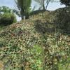 HCZION Camouflage Net 10 x 10 m, Military-Style Camo Net for Outdoor Use view 4