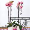 10 Plant Support Stakes with 10 Orchid Clips, 19.7 in view 3