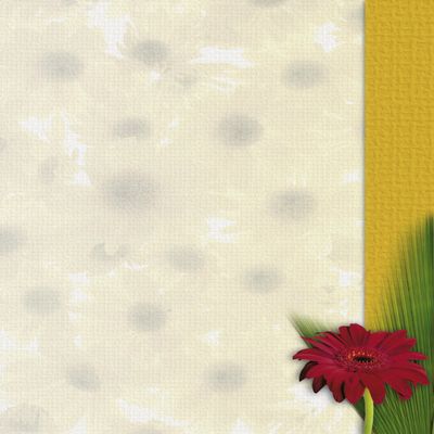 Gerbera Design Paper DP1857, 25 Sheets, A4 Letter Paper, 90 gsm