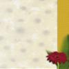 Gerbera Design Paper DP1857, 25 Sheets, A4 Letter Paper, 90 gsm view 1