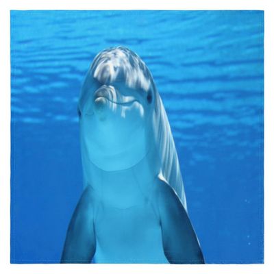 Dolphin Cloth Napkins, Set of 6, Reusable and Washable, 20 x 20 in