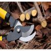 32 cm Stainless Steel Pruning Shears and Tree Cutter Set for Home, Garden, and Bonsai view 3
