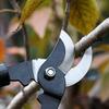 32 cm Stainless Steel Pruning Shears and Tree Cutter Set for Home, Garden, and Bonsai view 4
