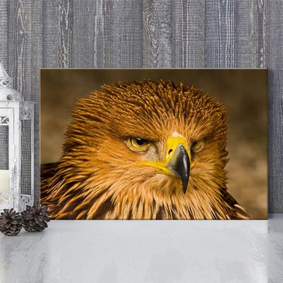 JIUJIUJIU Falcon and Eagle Wall Art Canvas Print, 50 × 75 cm, Unframed