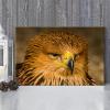 JIUJIUJIU Falcon and Eagle Wall Art Canvas Print, 50 × 75 cm, Unframed view 1