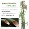 Bamboo Roller Blind, 60/90/100/110/120 cm Wide, Indoor & Outdoor view 3