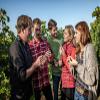 JOCHEN SCHWEIZER Gift Voucher: Vineyard Hike in Worms view 3