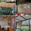 MMleYN Adjustable Bamboo Blind, 60–300 cm Height, Natural Reed Privacy Shade, White Line, 90 x 20 view 2