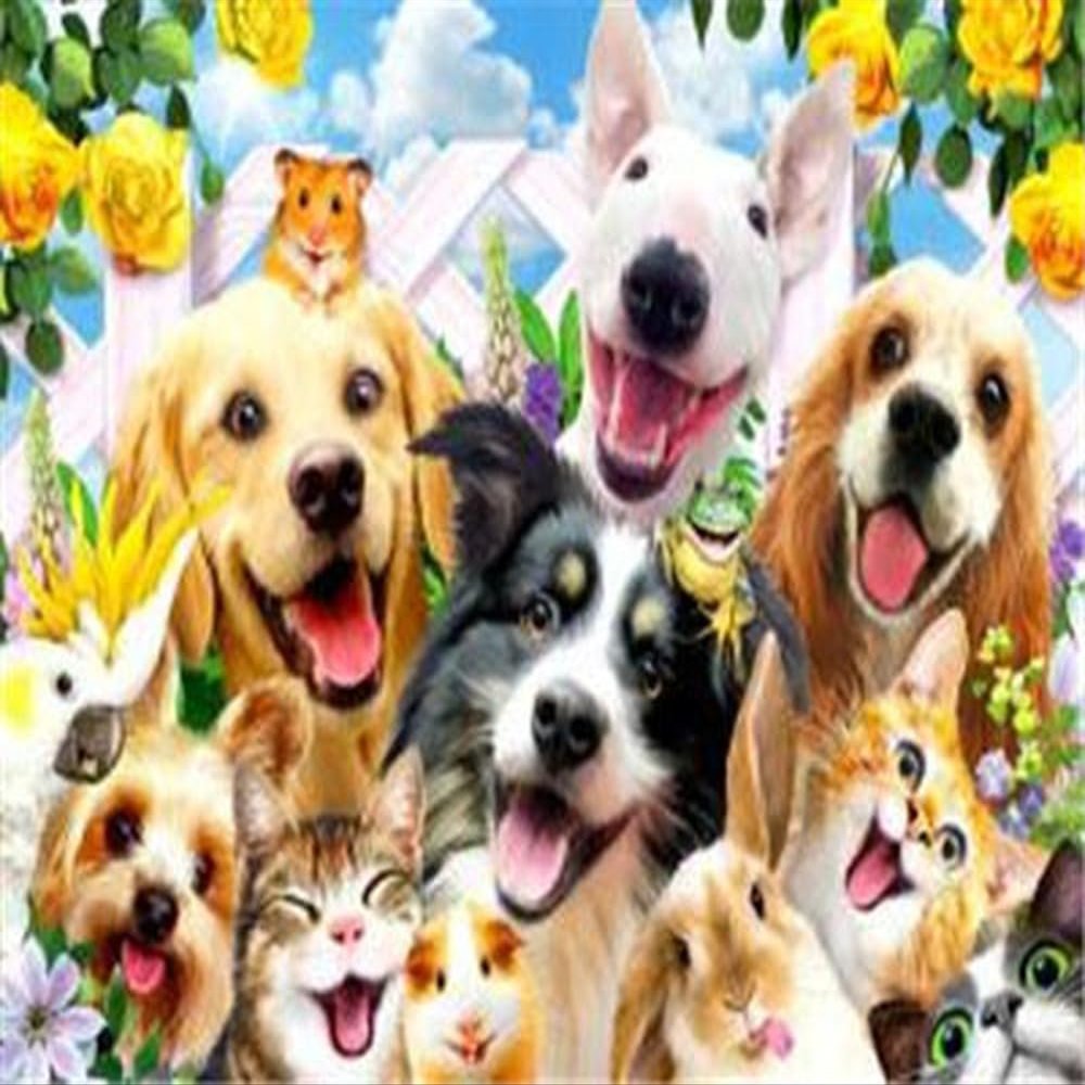Pracht Creatives Hobby Diamond Painting Set, Animal Selfie, Approx. 35 x 25 cm