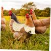 Adjustable Cotton Chicken Saddle Apron with Straps view 2