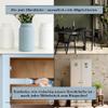 Wanders Shabby Chic Chalk Paint 750 ml – Fiery Chili/Rich Red – Kitchen Cabinet and Furniture Paint Without Sanding view 4