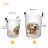 Golden Retriever Puppy Laundry Basket, Waterproof, Foldable, with Handles view 2