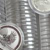 Puooifrty Transparent Coin Boxes, 100 Pieces, 1 Ounce, 40 mm Capsules, Cases for Commemorative Coins view 4