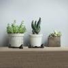 EHOTER Turtle Plant Pot Feet, Resin, 3-Piece Set, Outdoor Garden Decor view 3