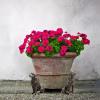 EHOTER Turtle Plant Pot Feet, Resin, 3-Piece Set, Outdoor Garden Decor view 4