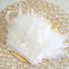 1 Yard Natural Turkey Feather Trim, 4–6 in. Wide view 1