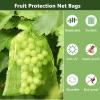 Grape and Fruit Protection Bags with Drawstring, Organza Garden Netting view 2