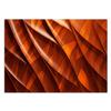 Feeby 3D Wood-Effect Photo Wallpaper, 250 x 175 cm, Orange, XXL, Non-Woven view 3
