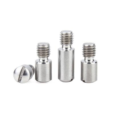 Slotted Headless Axial/Stepped Screw, 304 Stainless Steel (Silver, 1 pc, M6 × 8)