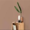 New Walls Premium Brown Nude Interior Emulsion Wall Paint, Liquid Luxury, 5 L view 2