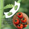 Wisecoco Durable Plastic Plant Support Clips for Upright Vines view 4