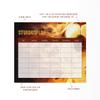 Friendly Fox Magnetic Soccer Schedule, Reusable DIN A4 Weekly Planner with Marker view 3