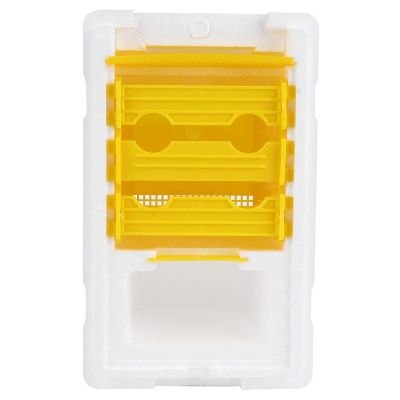 HEEPDD Foam Bee Queen Mating Box with Accessories