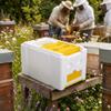 HEEPDD Foam Bee Queen Mating Box with Accessories view 2