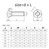 5/10-Piece M4–M12 A2 304 Stainless Steel Carriage Bolts with Round Head and Square Neck for Shelving Furniture view 2