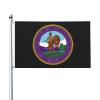 Flag of the Great Seal of the Chickasaw Nation, 90 x 150 cm, Outdoor Banner with Grommets view 1