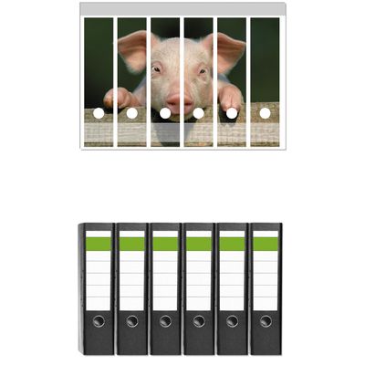 Wallario Set of 6 Wide Binders with Adhesive Spine Labels – Piglet on a Farm Close-Up