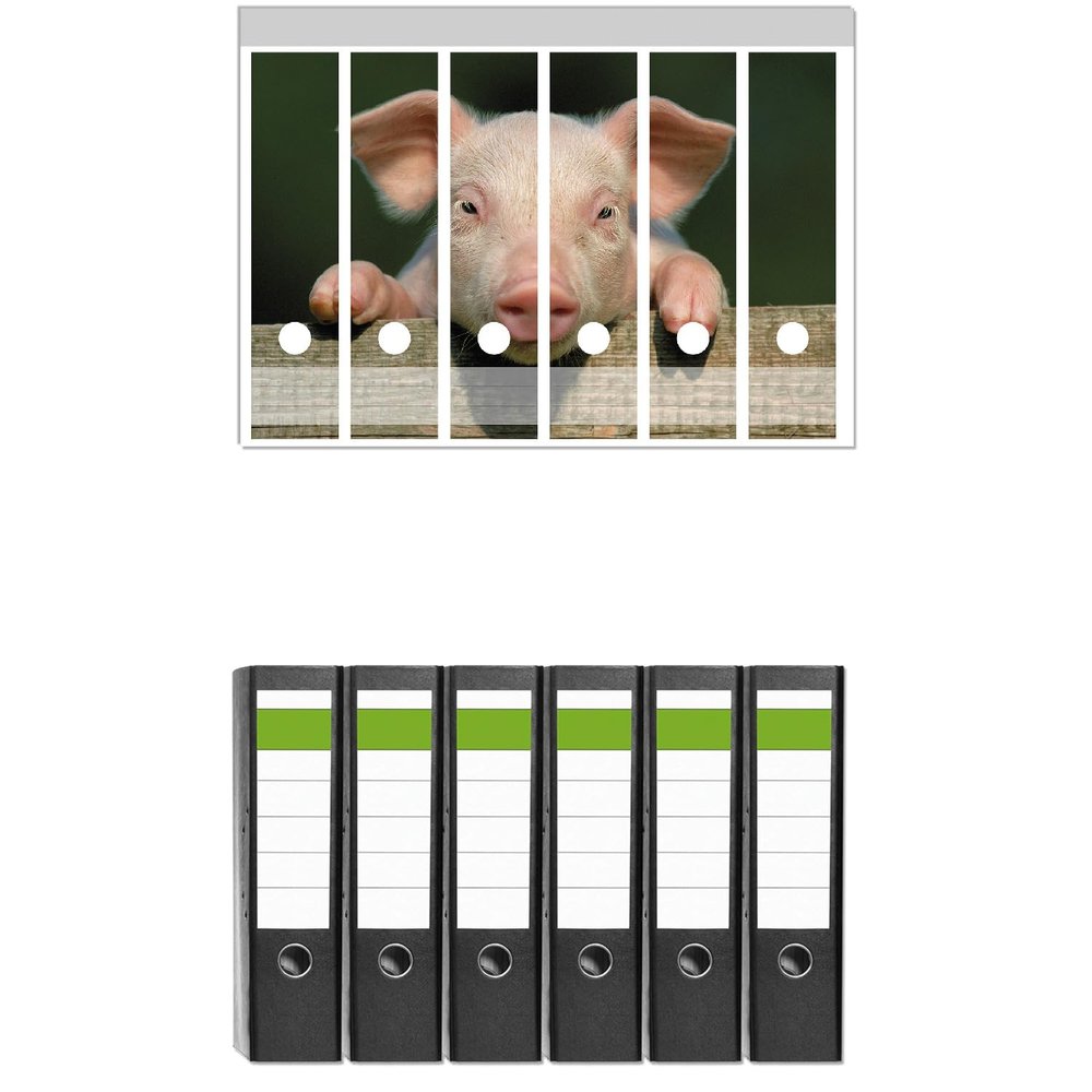 Wallario Set of 6 Wide Binders with Adhesive Spine Labels – Piglet on a Farm Close-Up
