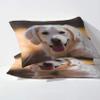 GEDAEUBA Summer Bedding Set 140x200 cm Labrador Dog Design, Reversible Duvet Cover and Pillowcase 70x90 cm, Soft Breathable Microfiber with Zippers view 3