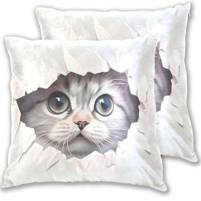 FRODOTGV Cute Cat Behind Broken Wall Striped Pillow Covers with Zipper, 2-Pack, 40.6 x 40.6 cm