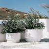 Tymar Flower Pot with Insert, Plastic Planter, White, 30 cm view 3