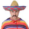Mexican Costume for Adults, Poncho with Tassels, Embroidered Sombrero and Fake Mustache, Blue view 3