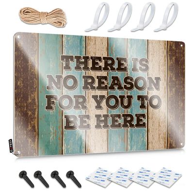 Funny Tin Sign: There Is No Reason for You to Be Here, 20 x 30 cm