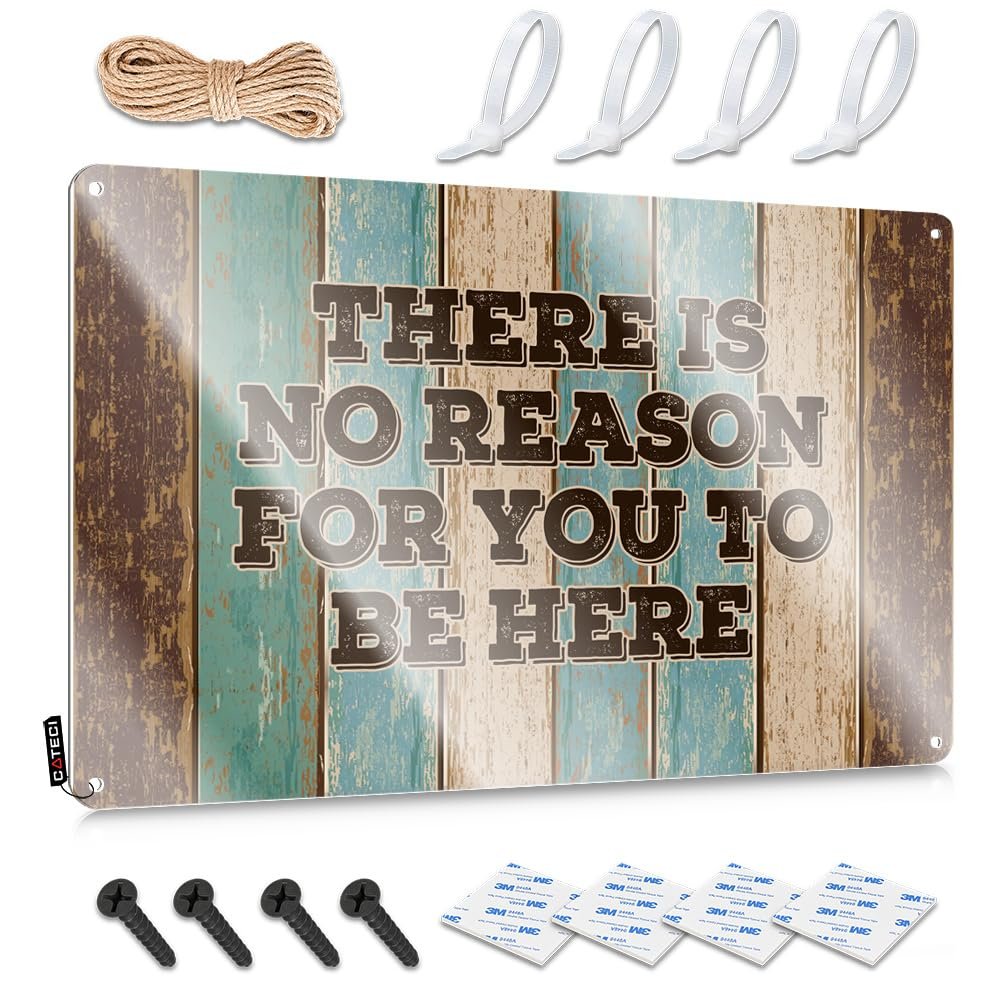 Funny Tin Sign: There Is No Reason for You to Be Here, 20 x 30 cm